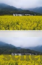 国产精品久久久久av麻豆a-