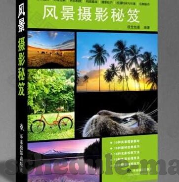 麻豆精品视频在线-麻豆精品视频，碰撞传统与创新的网络文化现象