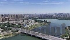 婷婷色香五月中文字幕-婷婷色香，五月中的中文字幕之美